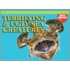Terrifying & Ugly Sea Creatures