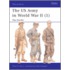 The Us Army In World War Ii (1)