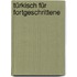 Türkisch für Fortgeschrittene