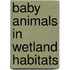 Baby Animals in Wetland Habitats