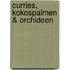 Curries, Kokospalmen & Orchideen