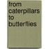 From Caterpillars to Butterflies