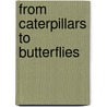 From Caterpillars to Butterflies door Dr.j.l. rachel McGibboney-Lewis