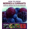 How To Grow Berries And Currants door Richard Bird
