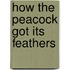 How the Peacock Got Its Feathers