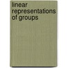 Linear Representations Of Groups door Ernest Vinberg