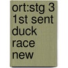 Ort:stg 3 1st Sent Duck Race New door Roderick Hunt