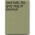 Owd Bob; The Grey Dog Of Kenmuir