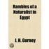 Rambles of a Naturalist in Egypt