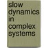 Slow Dynamics in Complex Systems