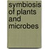 Symbiosis Of Plants And Microbes