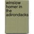 Winslow Homer In The Adirondacks