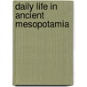 Daily Life In Ancient Mesopotamia door Karen Rhea Nemet-Nejat