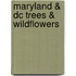 Maryland & Dc Trees & Wildflowers