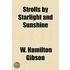 Strolls By Starlight And Sunshine