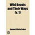Wild Beasts And Their Ways (V. 1)