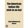 American Indian (Uh-Nish-In-Na-Ba) door Elijah Middlebrook Haines
