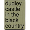 Dudley Castle In The Black Country door Edward White Bewley