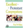Excellent Protestant Congregations by Paul Wilkes