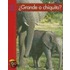 Grande O Chiquito? = Big or Small?