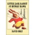 Little Jack Rabbit And Hungry Hawk