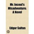 Mr. Incoul's Misadventure; A Novel