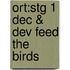 Ort:stg 1 Dec & Dev Feed The Birds