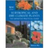 Subtropical And Dry Climate Plants