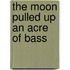 The Moon Pulled Up an Acre of Bass