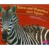 Zebras And Oxpeckers Work Together
