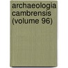 Archaeologia Cambrensis (Volume 96) door John Skinner