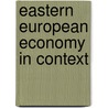Eastern European Economy in Context door David Turnock