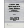 Ethnic and Multicultural Drug Abuse door William Liu