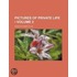 Pictures of Private Life (Volume 2)