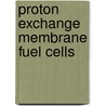 Proton Exchange Membrane Fuel Cells by Sergio Leonardo Garcia
