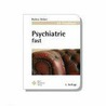 Psychiatrie fast - der 6h-Crashkurs by Steffen Grüner