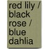 Red Lily / Black Rose / Blue Dahlia