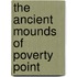 The Ancient Mounds Of Poverty Point