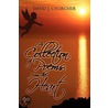 A Collection Of Poems From The Heart by J. Churcher David