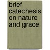 Brief Catechesis on Nature and Grace by Henri de Lubac