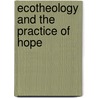 Ecotheology And The Practice Of Hope door Henry C. Simmons