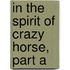 In the Spirit of Crazy Horse, Part A