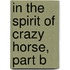 In the Spirit of Crazy Horse, Part B