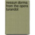 Nessun Dorma from the Opera Turandot