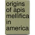 Origins Of Apis Mellifica In America