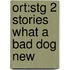 Ort:stg 2 Stories What A Bad Dog New
