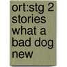Ort:stg 2 Stories What A Bad Dog New by Roderick Hunt