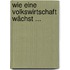 Wie eine Volkswirtschaft wächst ...
