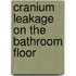 Cranium Leakage on the Bathroom Floor