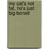 My Cat's Not Fat, He's Just Big-Boned